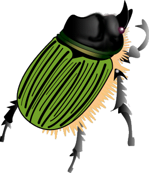 Rhino beetle; Actual size=300 pixels wide